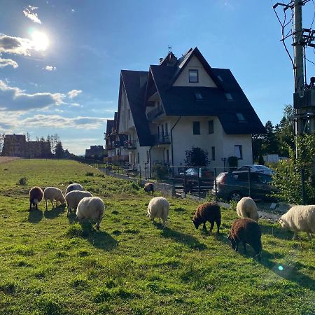 Apartament Goralski Murzasichle Esterno foto