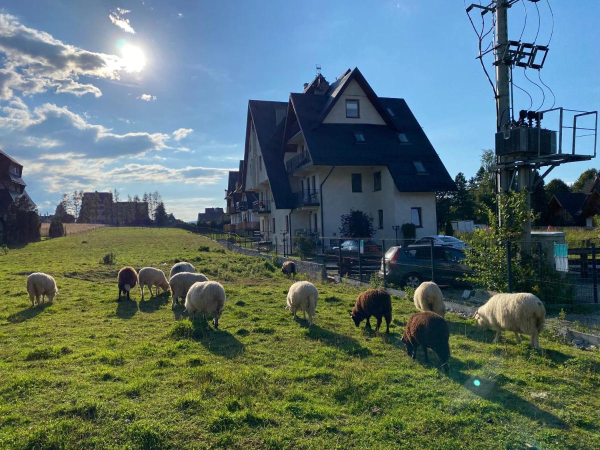 Apartament Goralski Murzasichle Esterno foto